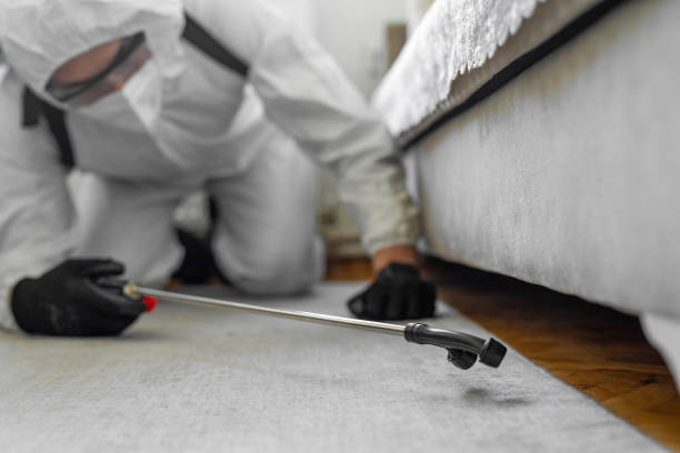 Professional Termite Control technician working in Lebanon, IN