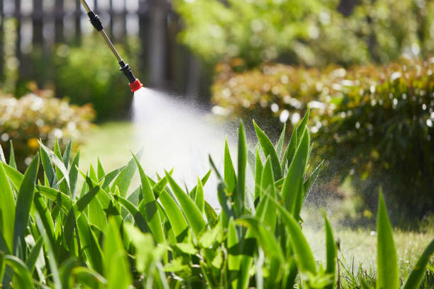 24/7 Emergency Termite Control experts in Lebanon, IN