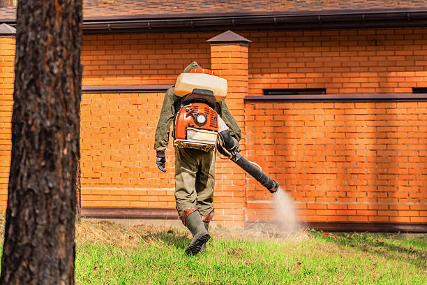 Trusted Rodent Control service in Lebanon, IN - Nex Pest Control